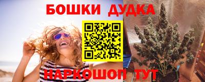 прущие крисы Заводоуковск