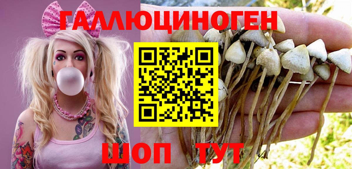 Галлюциногенные грибы ЛСД Мариинск