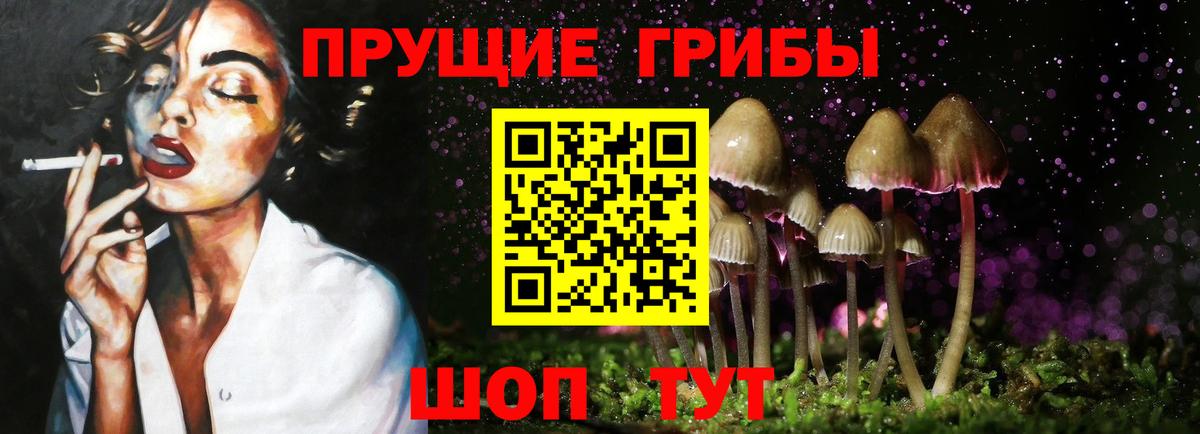 Галлюциногенные грибы MAGIC MUSHROOMS  Псилоцибиновые грибы Psilocybe  Мариинск  Вход с VPN 